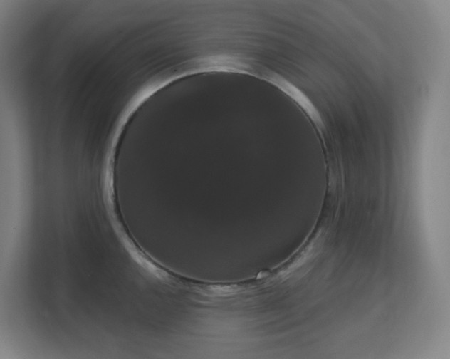X0000111441144200907201123
