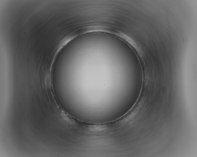 X0000111441145200907201123