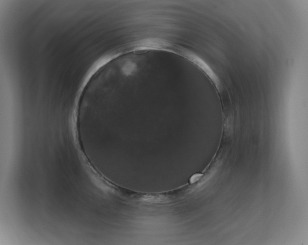 X0000111441146200907201123