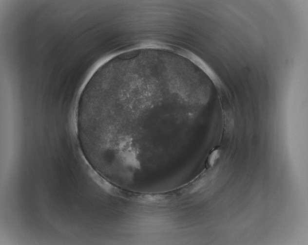 X0000111441148200907201123