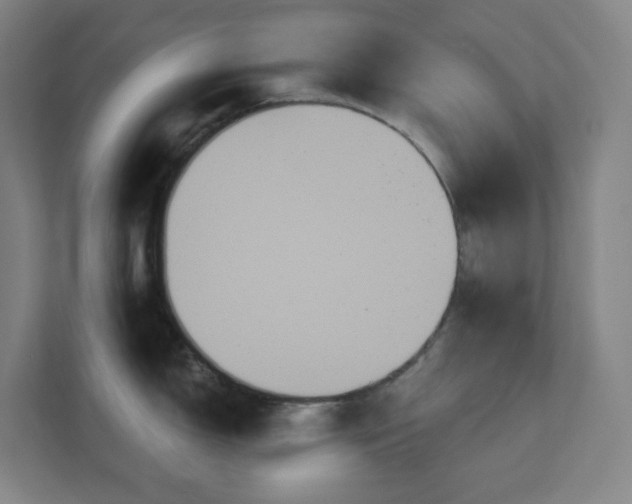 X0000111441150200907201123