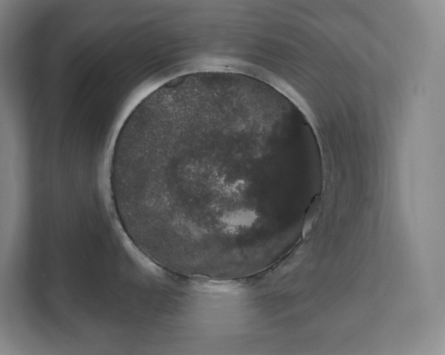 X0000111441152200907201123