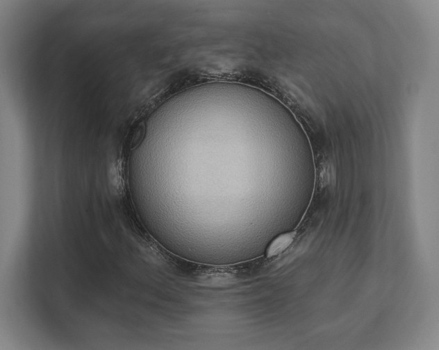 X0000111441156200907201123