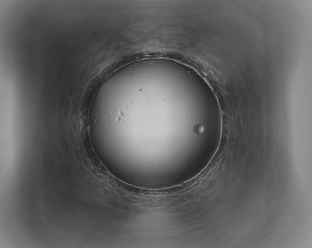 X0000111441157200907201123