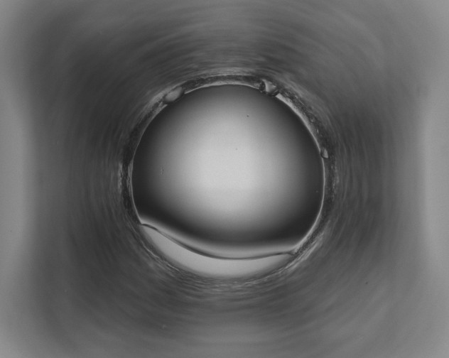 X0000111441161200907201123