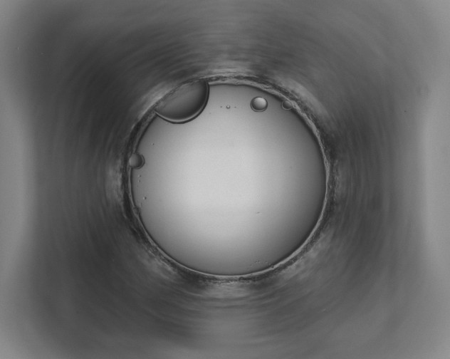 X0000111441162200907201123