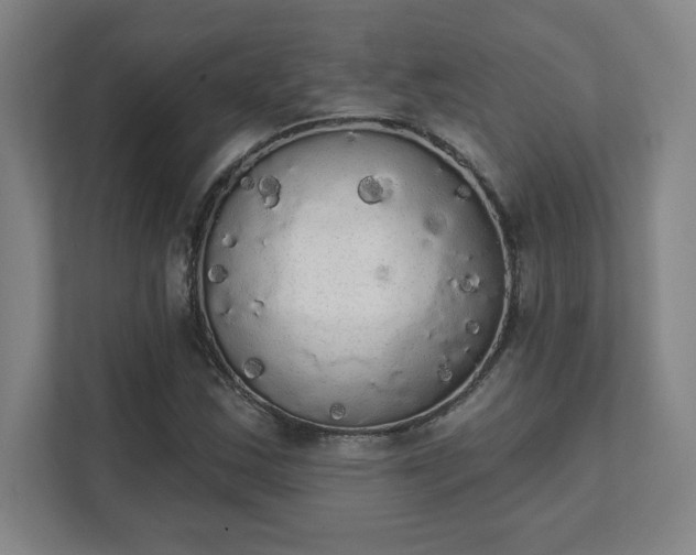 X0000111441163200907201123