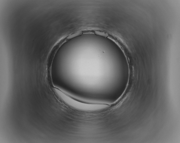 X0000111441165200907201123