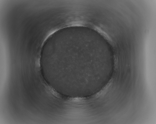 X0000111441166200907201123