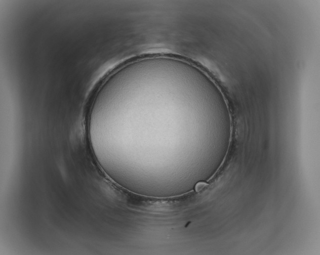 X0000111441167200907201123