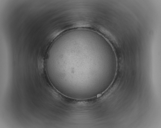 X0000111441169200907201123
