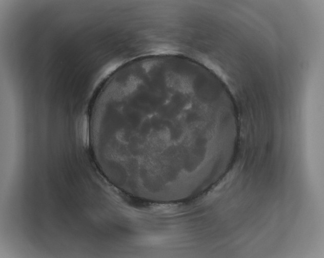 X0000111441171200907201123