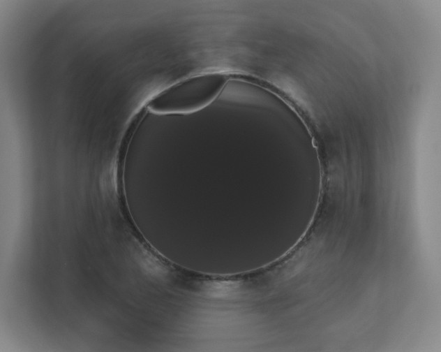 X0000111441173200907201122