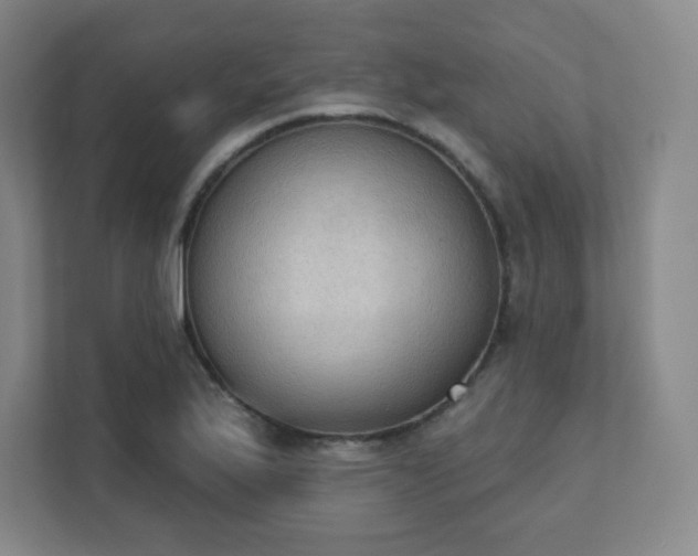 X0000111441175200907201122