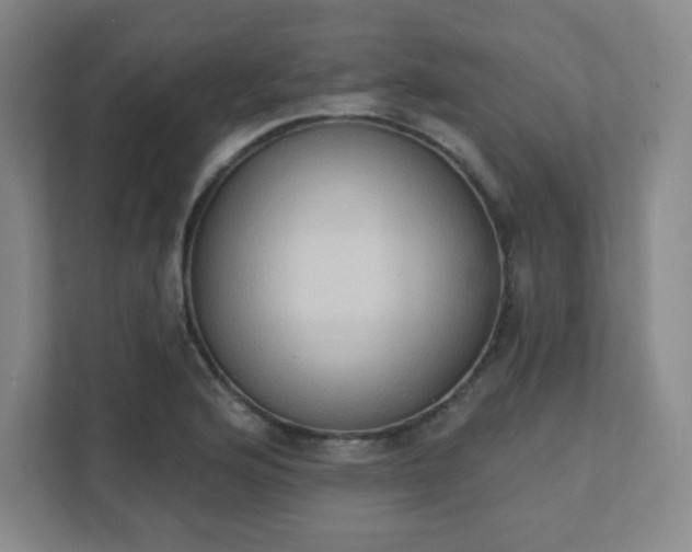 X0000111441176200907201122
