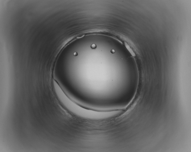 X0000111441177200907201122
