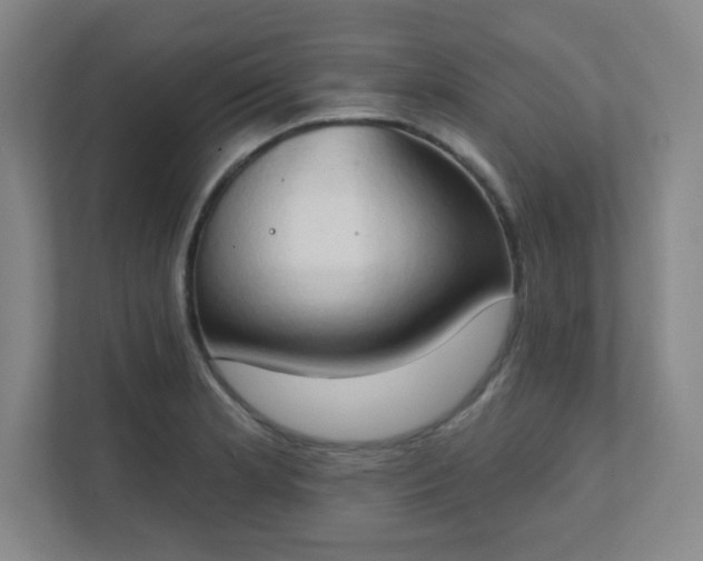 X0000111441181200907201122