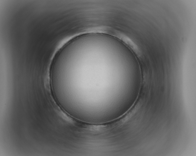 X0000111441184200907201122