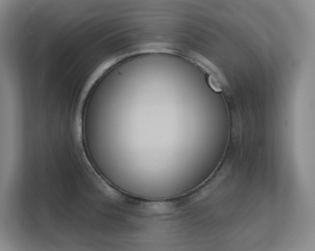 X0000111441188200907201122
