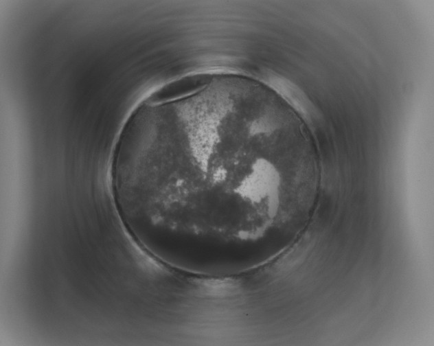 X0000111441189200907201122