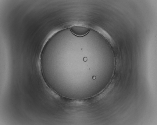 X0000111441190200907201122