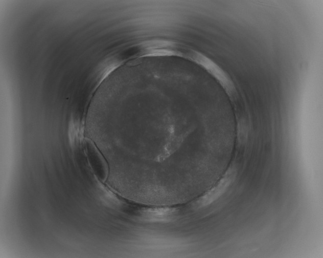 X0000111441193200907201122