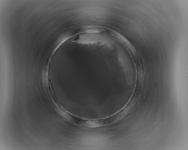 X0000111441194200907201122