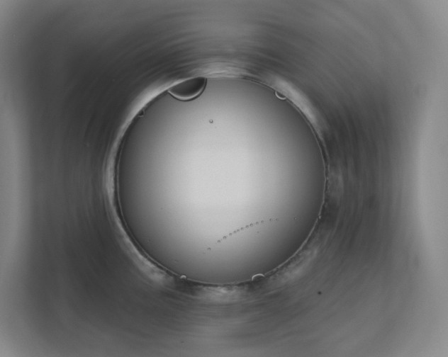 X0000111441195200907201122