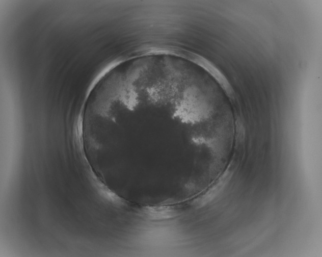 X0000111441198200907201122