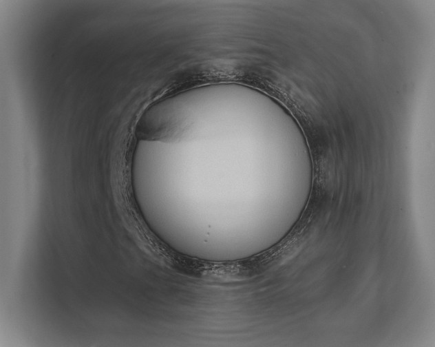X0000111441201200907201122