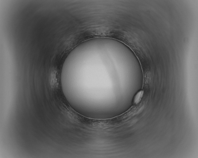 X0000111441202200907201122