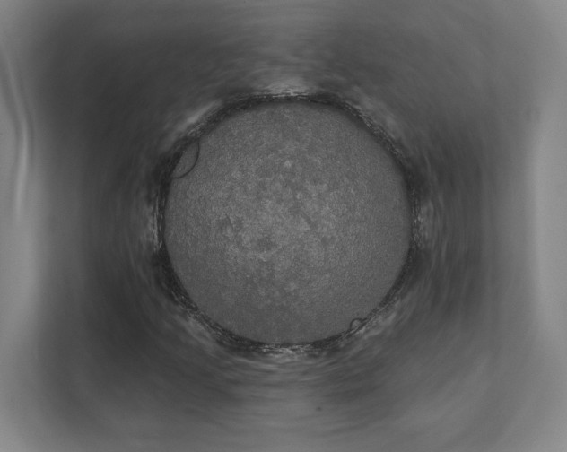 X0000111441205200907201122