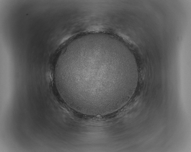 X0000111441206200907201122