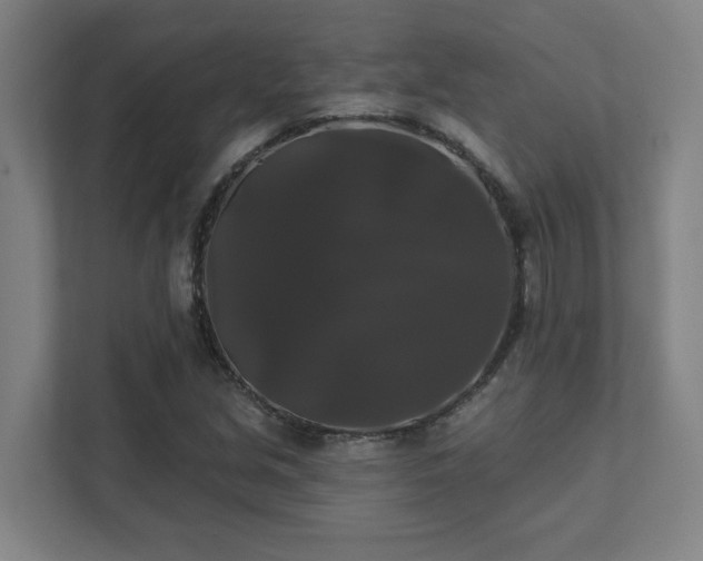 X0000111441213200907201122