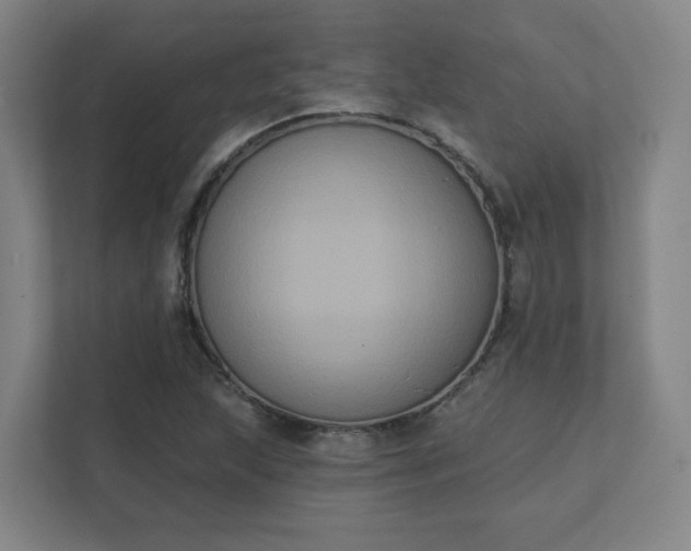 X0000111441215200907201122