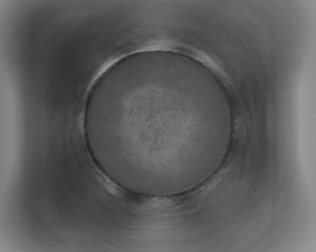X0000111441216200907201122