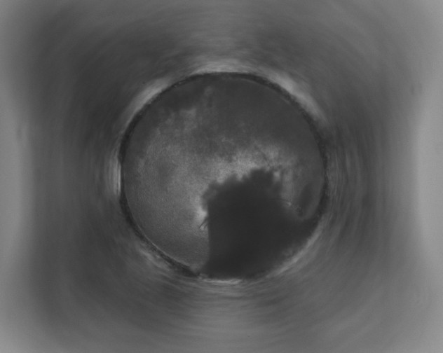 X0000111441221200907201122