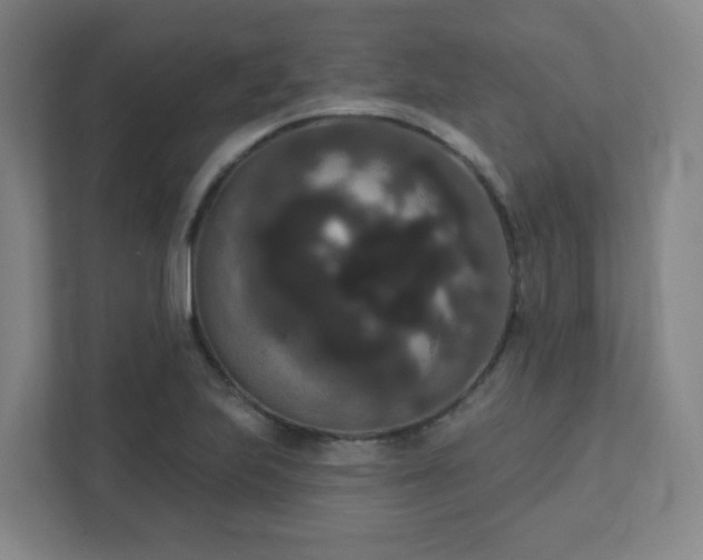 X0000111441223200907201122
