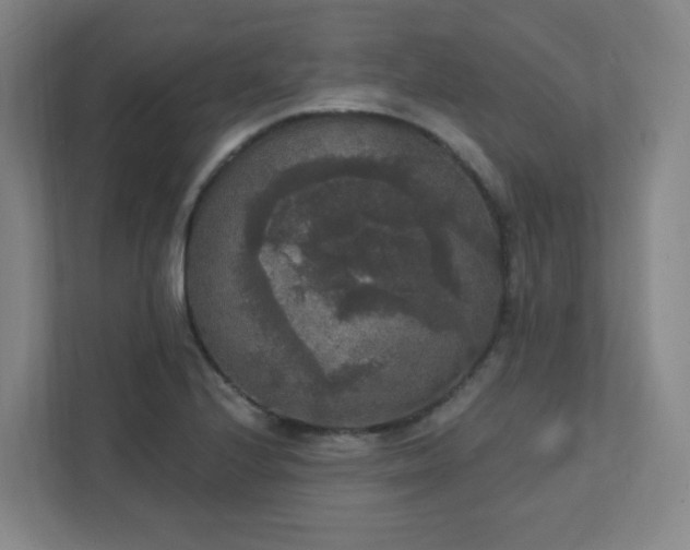 X0000111441224200907201122