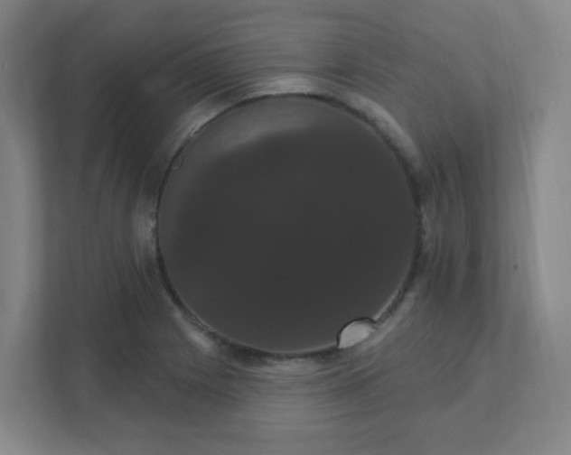 X0000111441225200907201122