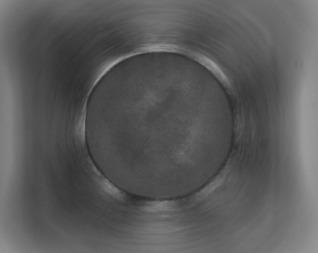 X0000111441228200907201122