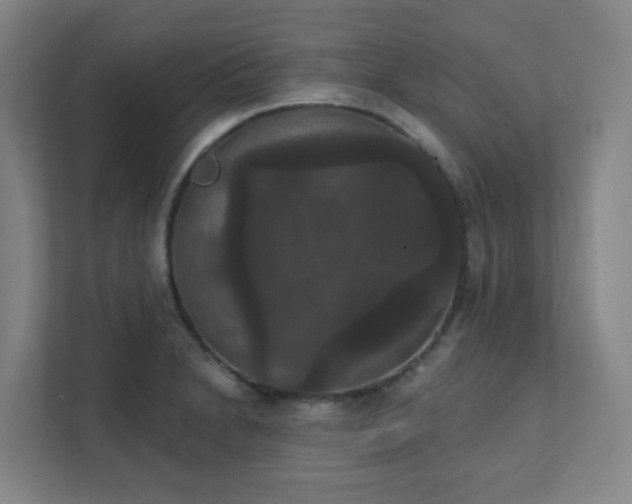 X0000111441230200907201122