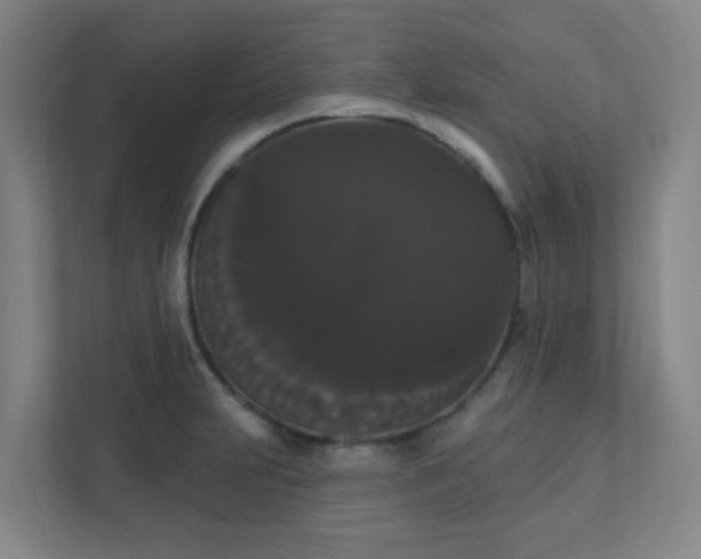 X0000111441231200907201122