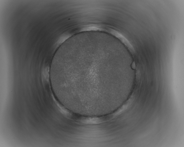 X0000111441233200907201122