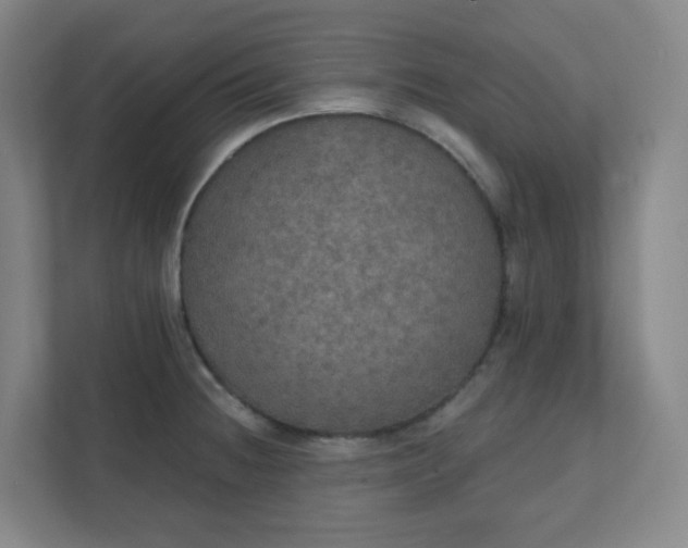 X0000111441236200907201122