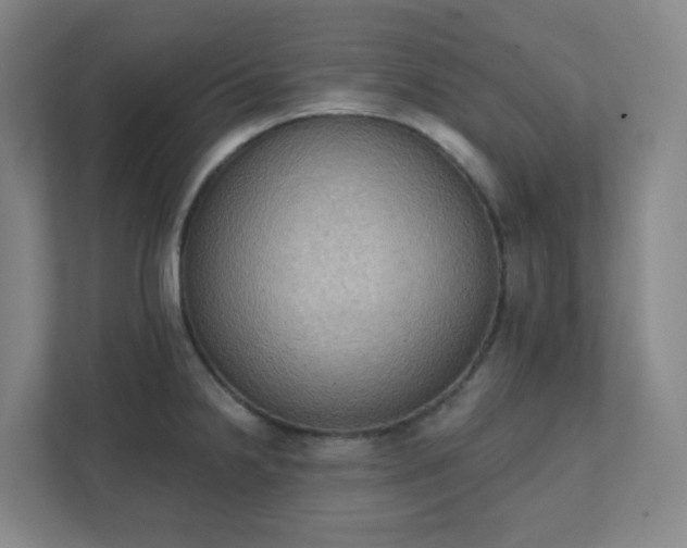 X0000111441238200907201122