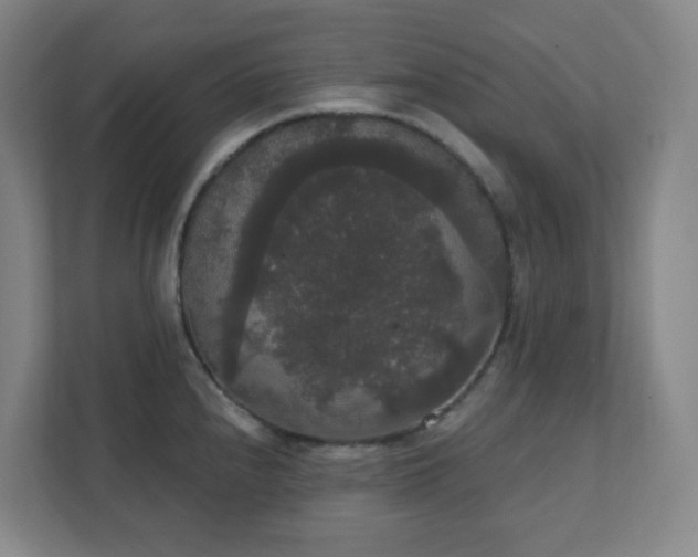 X0000111441240200907201122