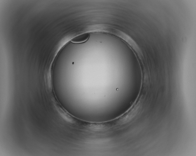 X0000111441242200907201122