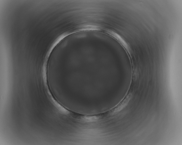 X0000111441243200907201122