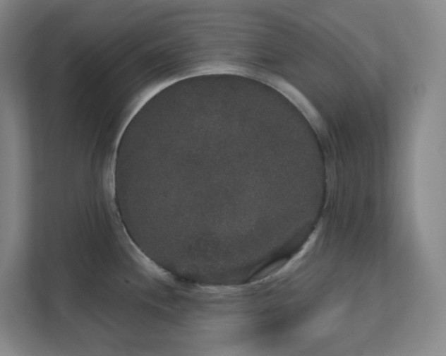 X0000111441244200907201122